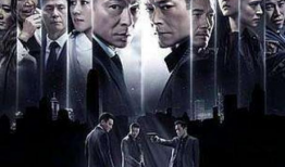 扫毒2天地对决（国语版）,天地对决——毒品世界的生死较量