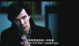 神探（国语版）,探案奇才的智慧对决