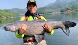 垂钓风云,探寻钓鱼文化的魅力与传承