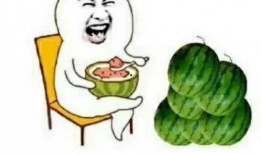 大家都在哪吃瓜娱乐圈,揭秘明星们的“吃瓜”圣地