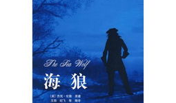 海狼（国语版）下,惊涛骇浪中的生死较量