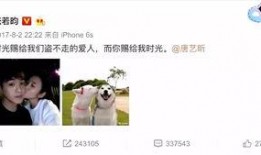 娱乐吃瓜君张翰